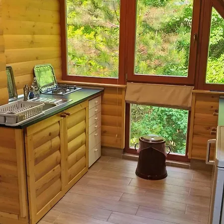 Holiday home Erdo Melyen Haziko