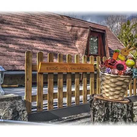 Holiday home Erdo Melyen Haziko Dorgicse